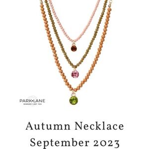 NWT sparkle box exclusive Park Lane Autumn Charm Necklace